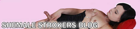 shemale-strokers-blog-banner