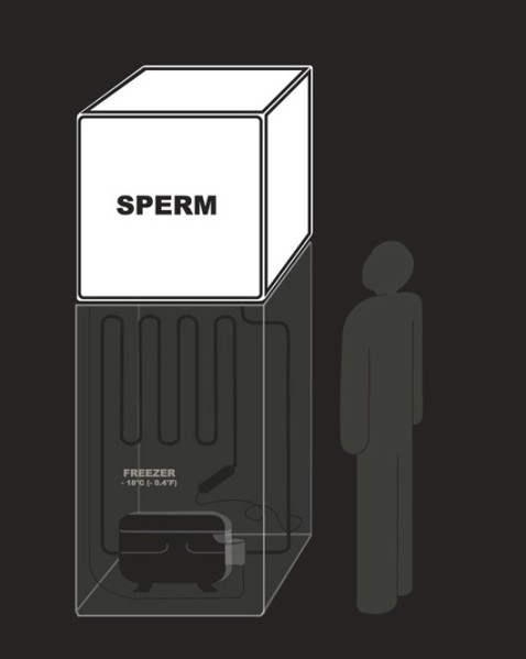 spermcube.jpg