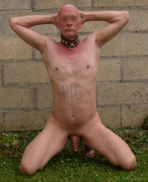 Image4