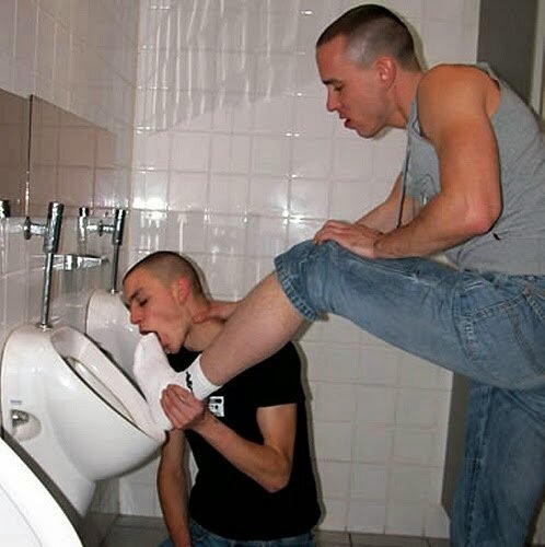 tumblr_n8cpqgvJrc1tslbkio1_500.jpg