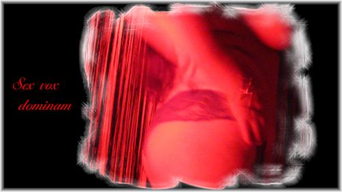 IMG-0038.JPG