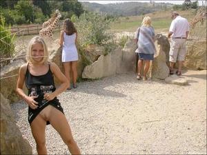 exhib-au-zoo.jpg