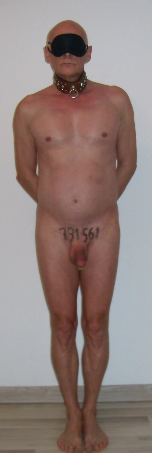 Image36