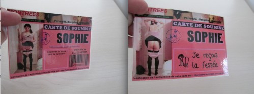 carte de soumise plastifiée