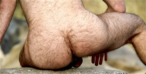 1--1--copie-30.jpg