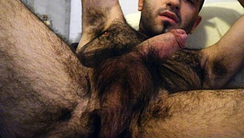 tumblr mz04lo85BF1seomtto8 500