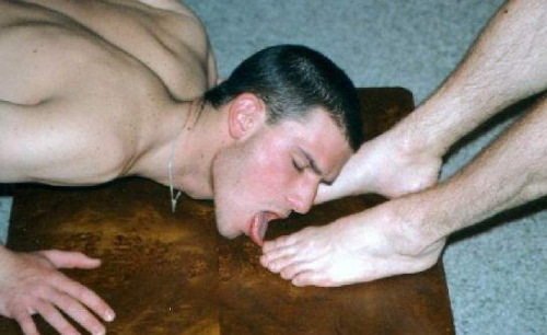 1--5--copie-1.jpg