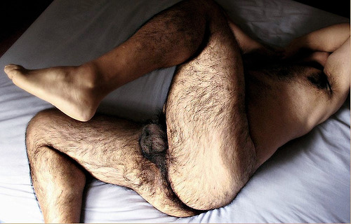 tumblr mz5fr5efDG1rto52ho1 500