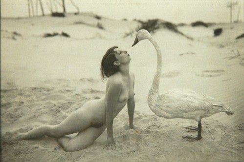 3-meys-leda-swan-nude-art-photograph