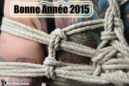 bonne-annee-2015.jpg