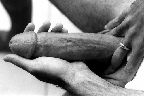 1--2--copie-2.jpg
