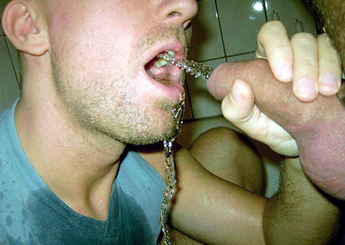 1--4--copie-3.jpg