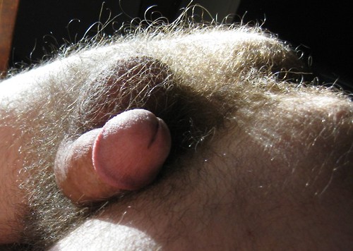 tumblr mn7k5bjoFS1sqgg41o1 500