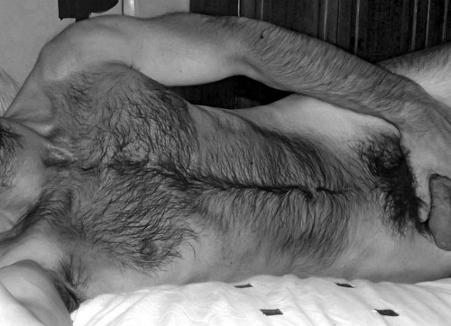 tumblr mm21xrelbJ1qb24rno4 500