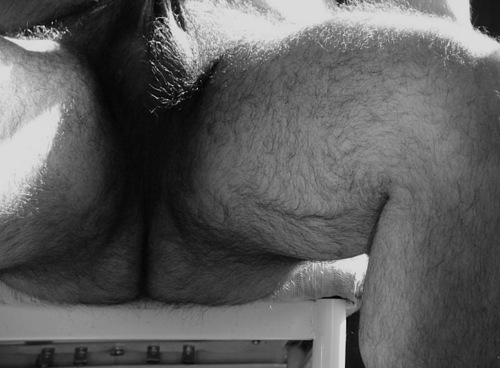 tumblr lqdq45b33G1qaak3fo1 500