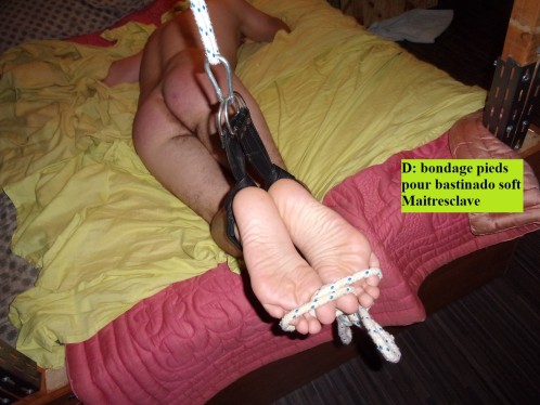 D bastinado