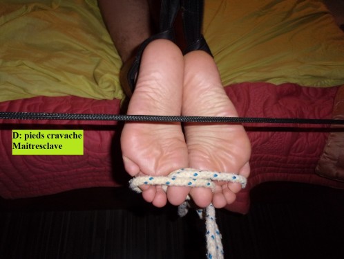 D pieds cravache