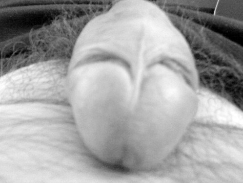 DSC01187