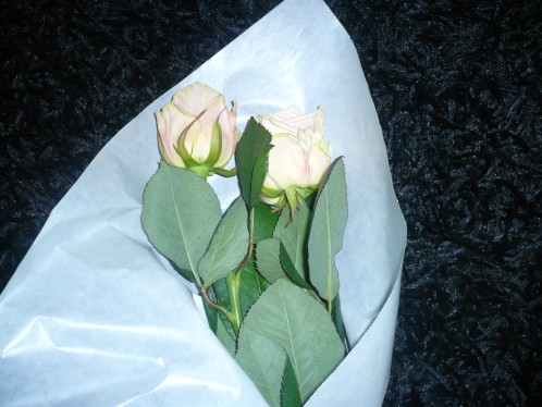P1070521.JPG