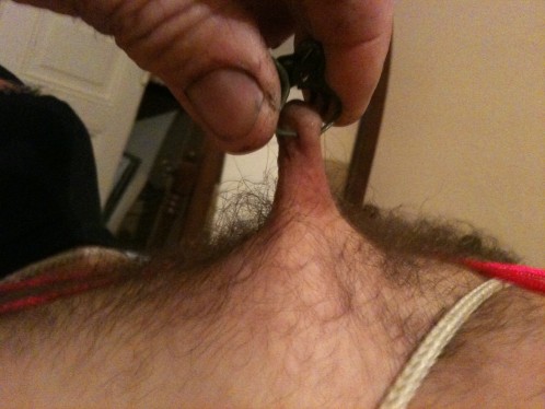 SEINS 0090