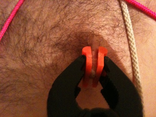 SEINS 0097