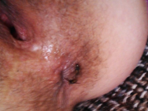 IMG293---Copie.jpg