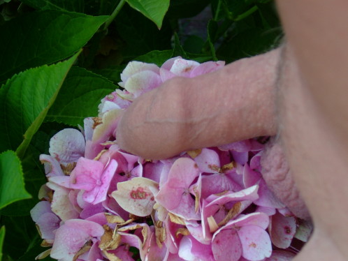 DSCF7907.JPG