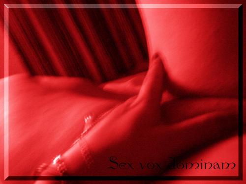 IMG-0161.JPG