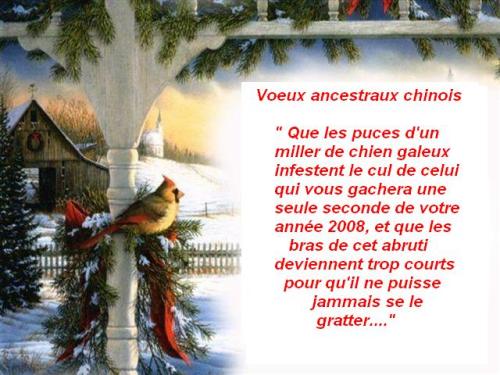 Voeux-2008-proverbe-chinois.jpg