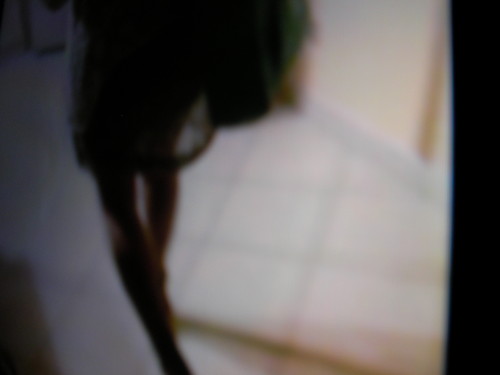 SANY0013