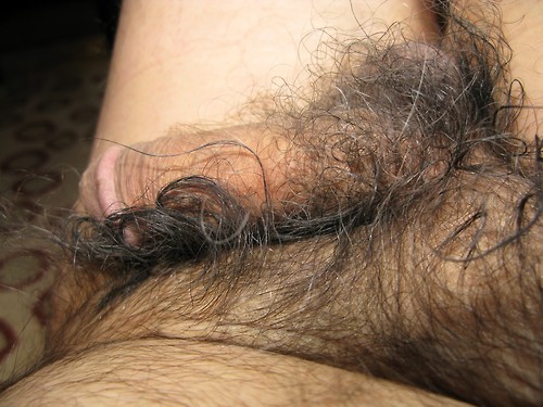 tumblr n384uw7qeD1rx314ao1 500