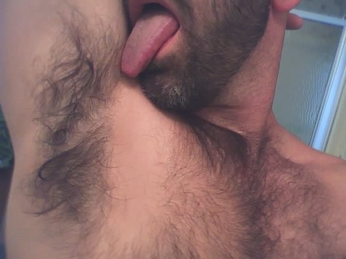 tumblr n93s6r7A611t0yfaco1 500