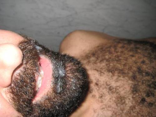 tumblr m1o8agDYhK1qchicro1 500