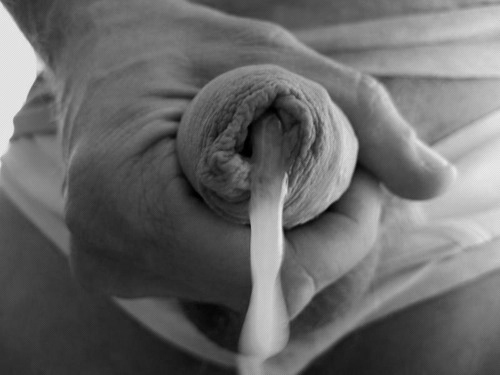 tumblr lbi5f9Disu1qamchho1 500