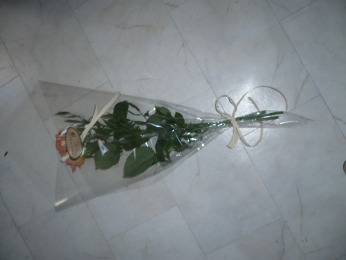 P1050936.JPG