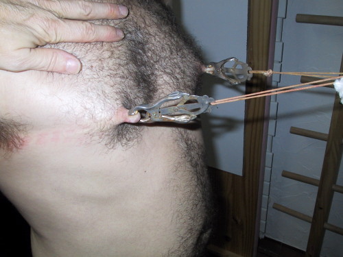SEINS 0032