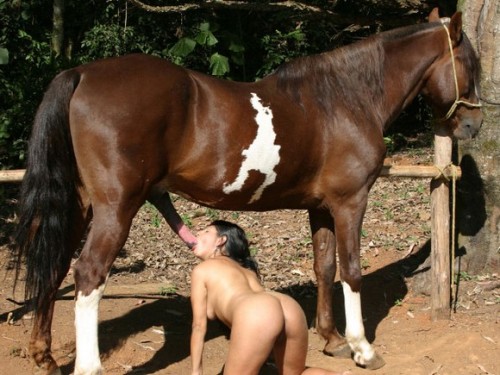 suceuse-grosse-bite-cheval.jpg