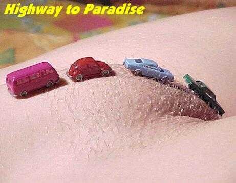 Highway to Paradise