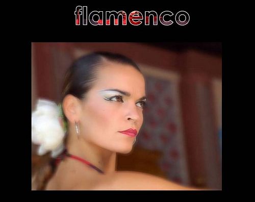 tn flamenco31