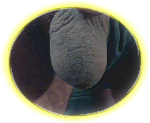 24.JPG