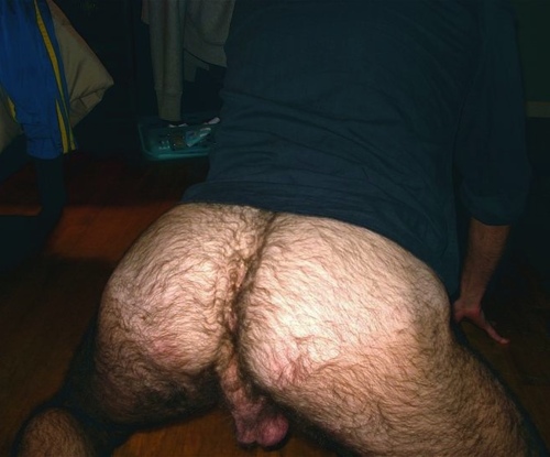 tumblr lx4dijw2ZC1qlp9m2o1 500
