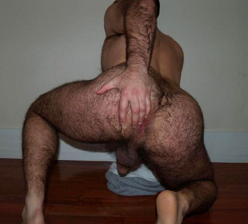 1--1--copie-9.jpg