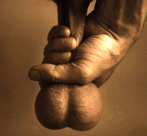 1--4--copie-20.jpg