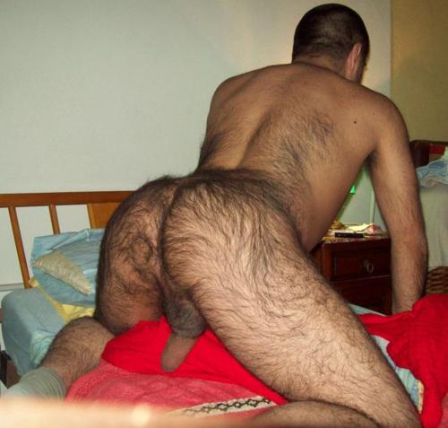 tumblr m4bzyaJ92m1r48f4vo1 500