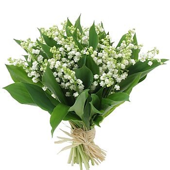 muguet06