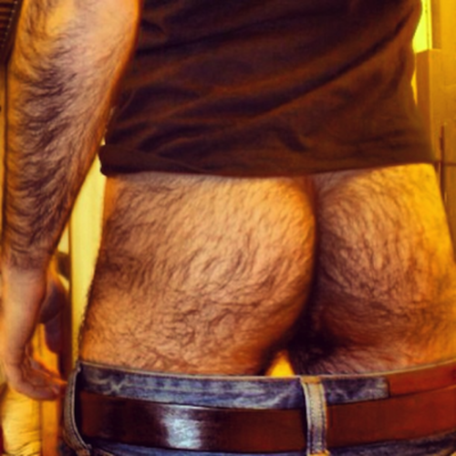 tumblr mmmreac4QO1rsp3sao1 500