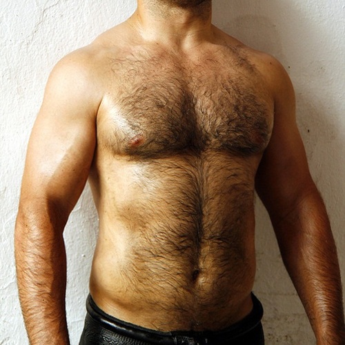 tumblr mkkpy0pnIV1rcowwdo1 500