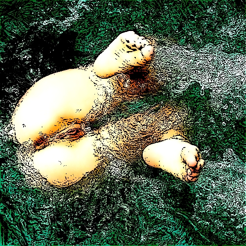 pussy-in-water-500x500[1]