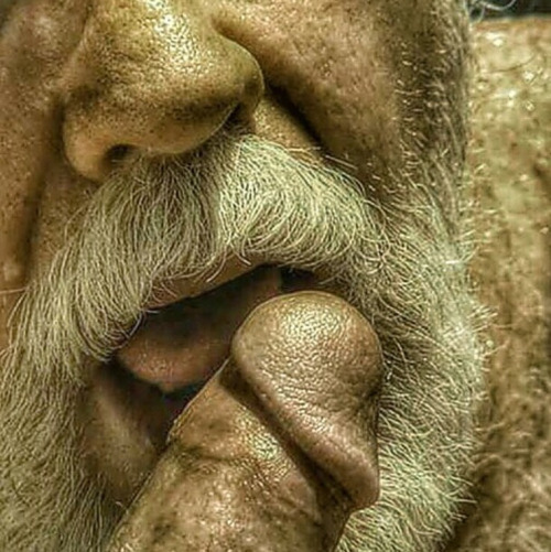 tumblr_ojokpe1yHa1vxum7uo1_500.jpg