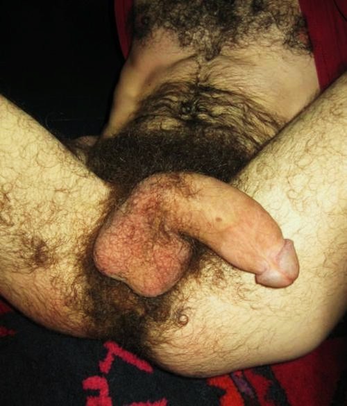 tumblr m5imf0m43Q1rrqskso1 500+(1)